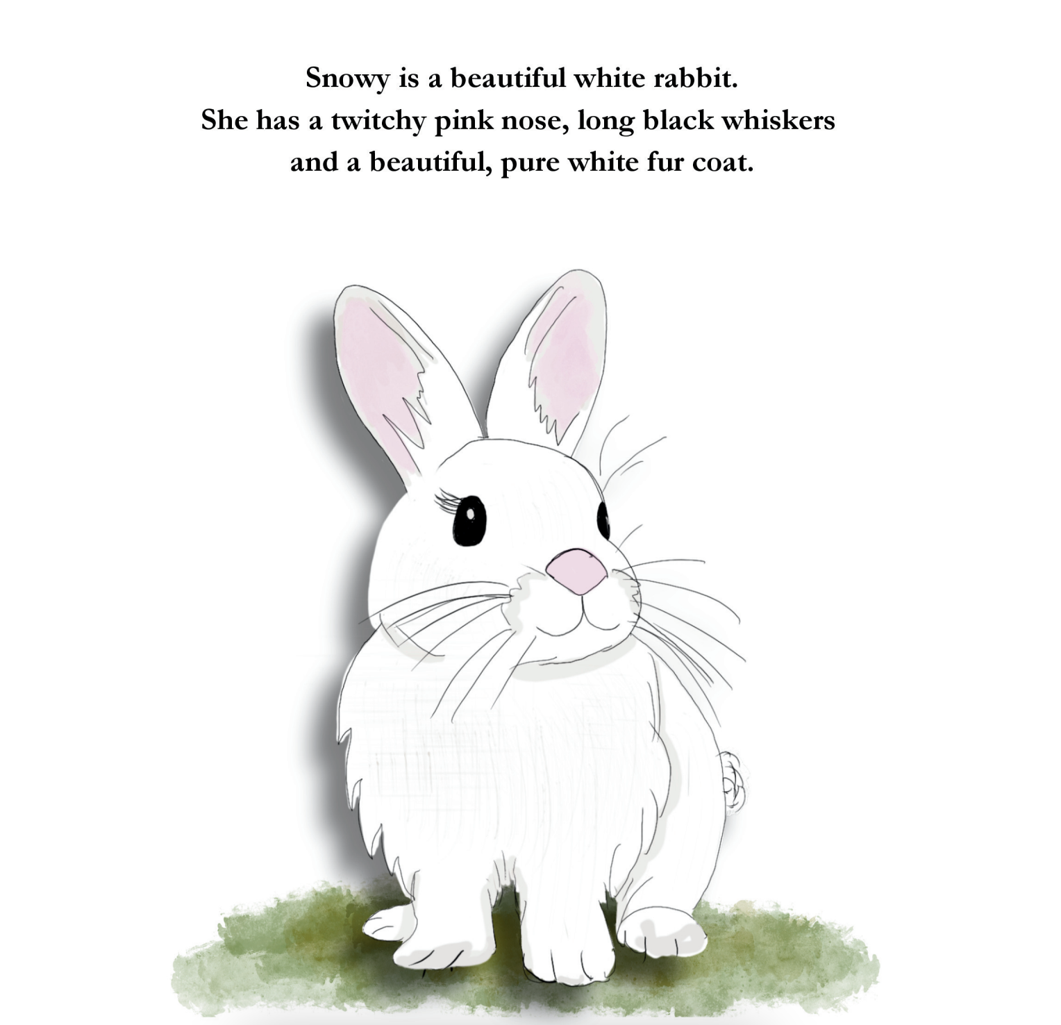- Book 2 – Snowy Rabbit